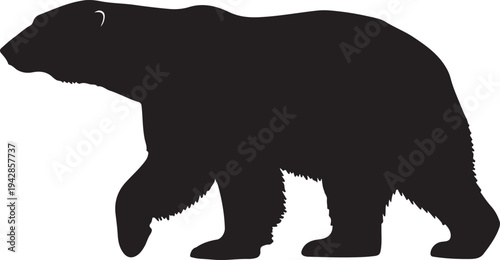 Polar Bear in silhouette on white background.