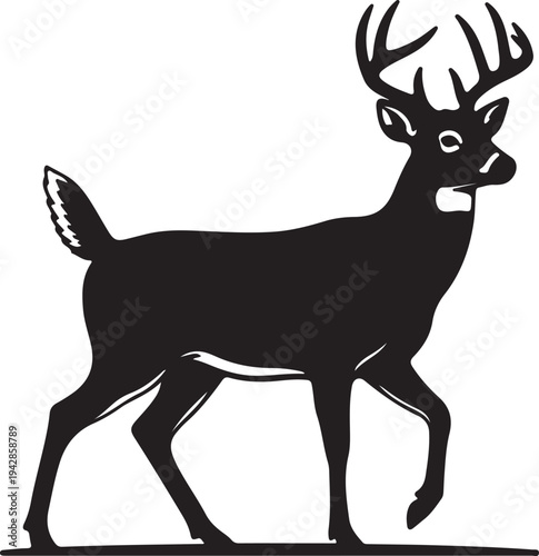 White-tailed Deer in silhouette on white background.