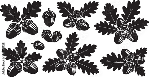 Black and white illustration of oak leaves and acorns