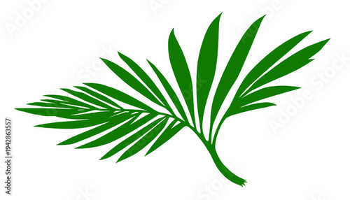Green tropical palm leaves branch isolated on transparent background png, botanical element ideal for summer designs, beach graphics, tropical branding and nature themed projects