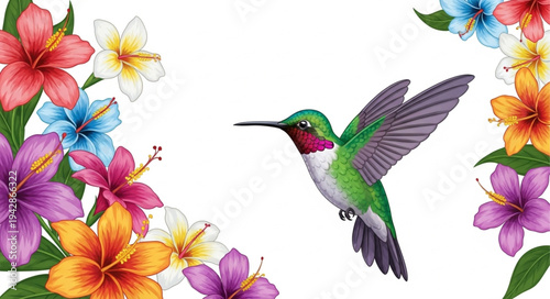 hummingbird and flowers