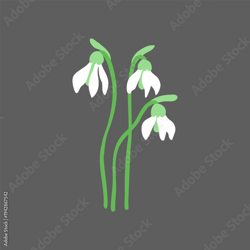 Vector colourful flowers. Floral bouquet. Good for posters, advertisement, postcards and romantic products.