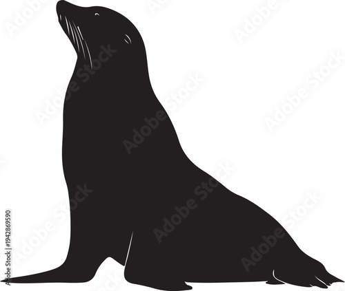 Sea Lion Silhouette