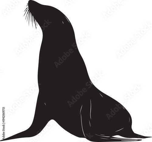 Sea Lion Silhouette