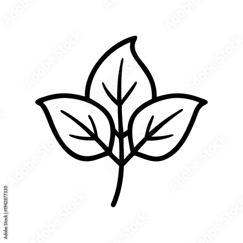 Vector illustration of a 3-leaf branch