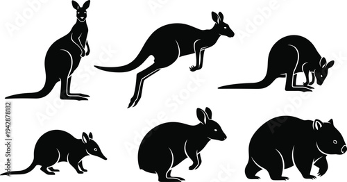 Australian wildlife silhouette set featuring kangaroo jumping poses wombat and bandicoot animals isolated on white background native fauna illustration collection