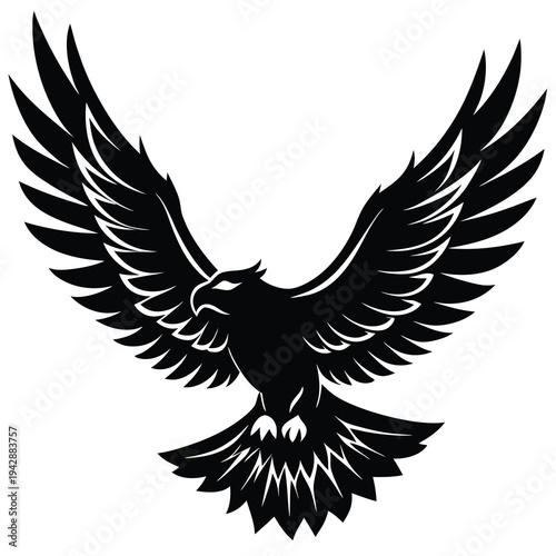 Black bird silhouette with spread wings