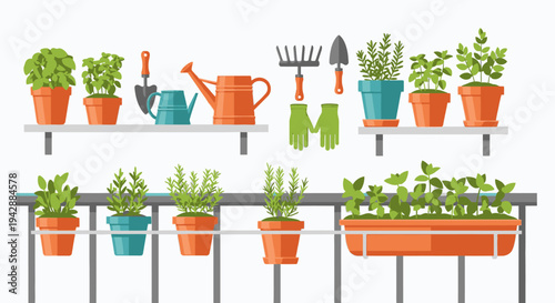 A person showcases various plants and gardening tools on shelves in a garden.