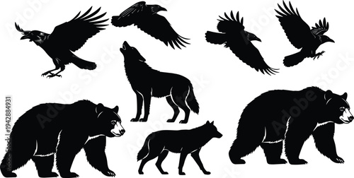 Wildlife predator silhouette collection featuring bear, wolf and flying ravens in different poses isolated on white background animal vector set