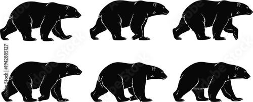 Walking bear silhouette set showing different movement poses of wild bear isolated on white background wildlife animal vector illustration collection