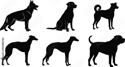 Set of dog silhouettes showing different breeds standing and sitting poses isolated on white background domestic pet animal collection vector illustration