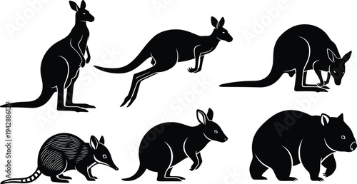 Australian wildlife silhouette collection featuring kangaroo jumping poses, wombat and armadillo isolated on white background animal vector illustration set