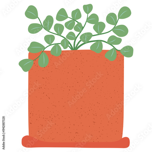 Potted houseplant vector illustration. Green indoor plant with round leaves in terracotta pot isolated on white background. Stylized decorative home gardening textured clipart in flat style