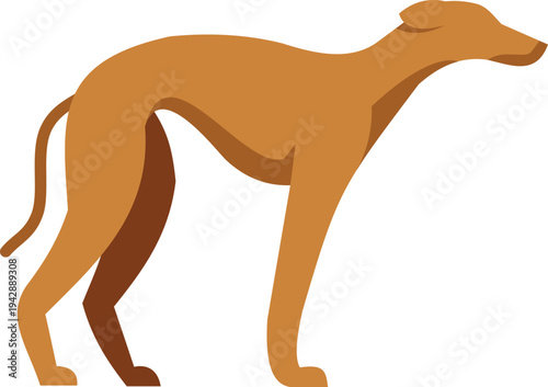 Greyhound dog standing still, clean flat design with minimal shadows