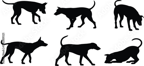Domestic dog silhouette vector icon set for animal veterinary, pet care services, and canine behavior