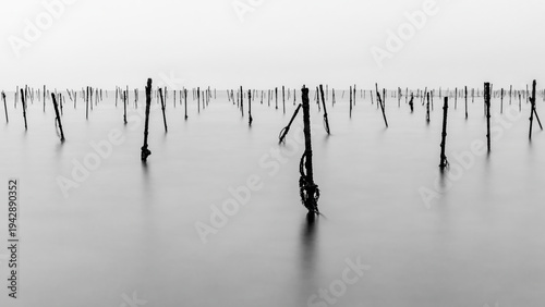 Atmospheric shot of spikes sticking out of the ocean