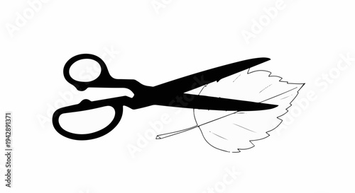 Scissors poised to cut a delicate leaf, symbolizing nature and crafting