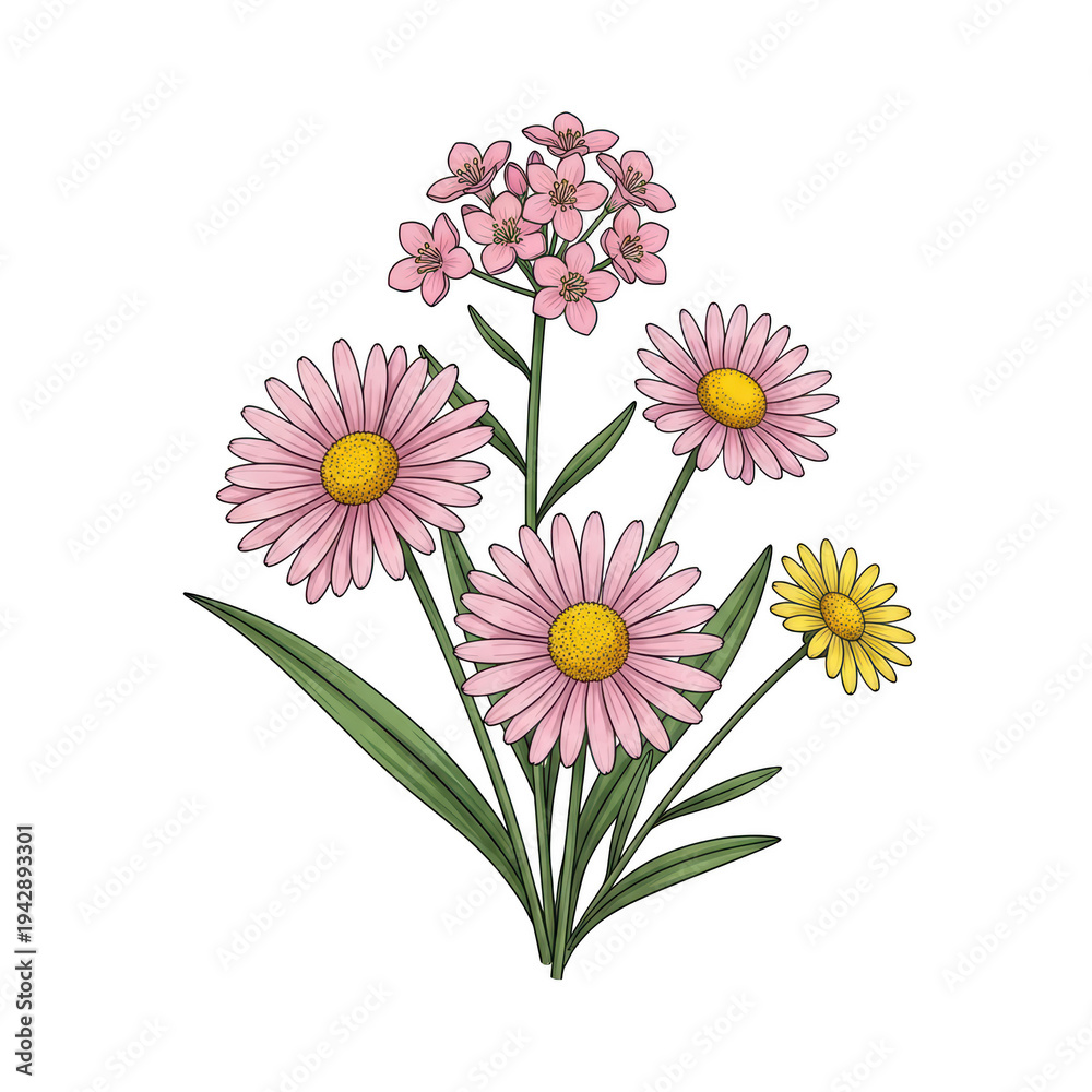 Fototapeta premium A bouquet of colorful wildflowers with pink and yellow blooms and green stems isolated on transparent background