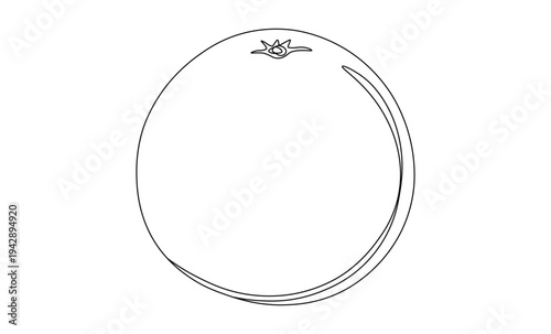Continuous line drawing of a fresh citrus fruit, like an orange or tangerine, capturing its simple essence and natural form