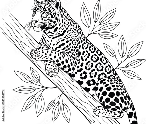 Black and white of a leopard resting on a tree branch with leaves animal