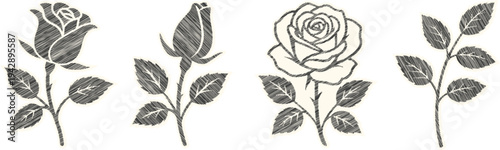 Romantic Rose Scribble Vectors: Classic Etched Floral Clipart