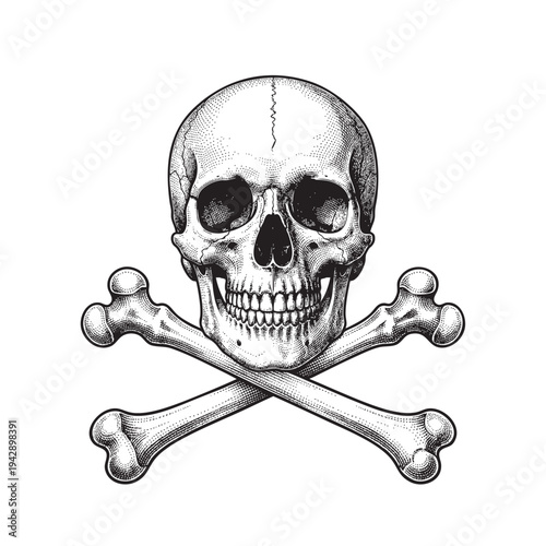 Skull, Calavera, Pirate, Jolly Roger. Frontal Vintage Engraving of Human Skull and Crossbones