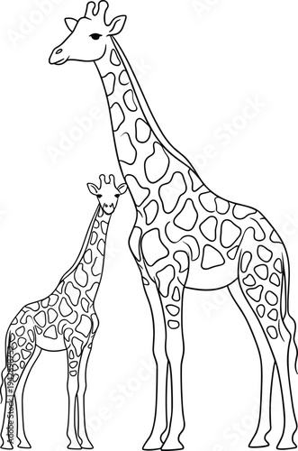 Two giraffes standing side by side black outline baby giraffe black and white