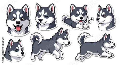 Cute Husky Dog Stickers Collection Various Poses and Expressions.