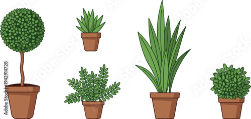 Potted Indoor Plants Collection Houseplant Pots Vector Illustration Set
