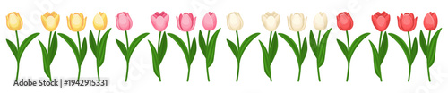 A vector cartoon image of a beautiful tulip, perfect for spring or summer holidays, International Women's Day, Mother's Day, weddings, and more. An element for your design.