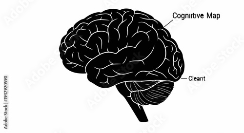 Silhouette of a human brain illustrating cognitive map and learning concepts