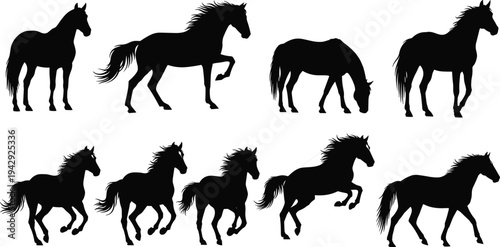 Horse silhouettes collection, eight figures in standing, trotting, grazing, running, jumping poses, vector illustration of equine anatomy, motion artwork, animal design concept