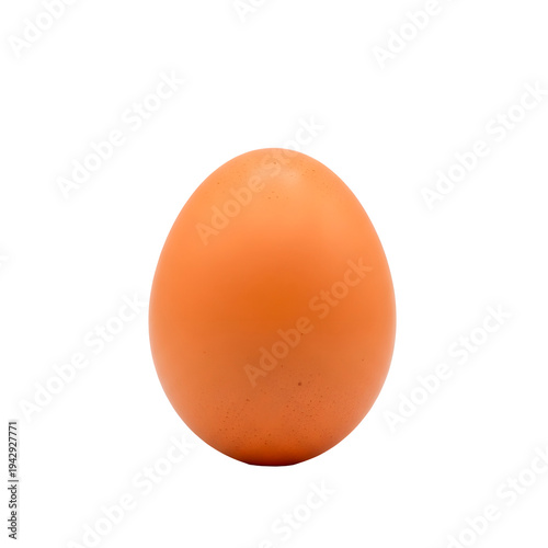 A close-up of a single brown egg against an isolated background