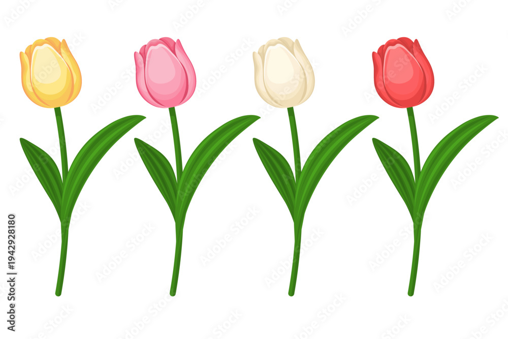 Obraz premium A vector cartoon image of a beautiful tulip, perfect for spring or summer holidays, International Women's Day, Mother's Day, weddings, and more. An element for your design.