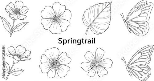 Collection of delicate line art flowers and butterflies for spring and nature designs