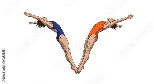 Two female divers in swimsuits forming a v shape against white background