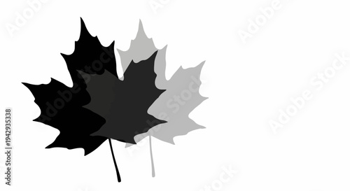 Abstract graphic of overlapping maple leaves in shades of gray and black against a white background.