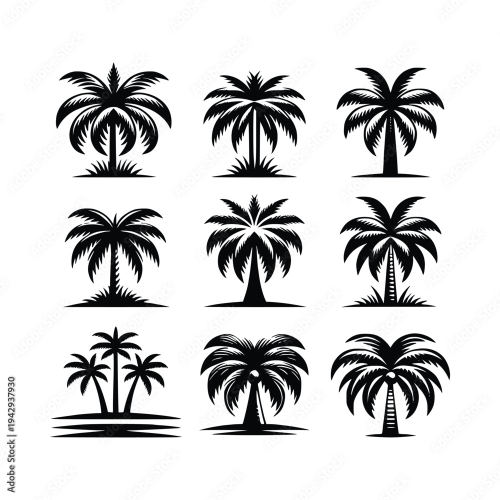 Fototapeta premium Artistic Black and White Palm Tree Collection