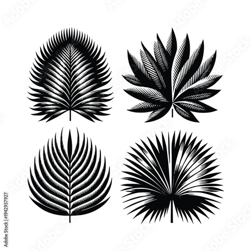 Exotic Botanical Leaf Collection Black and White Vector