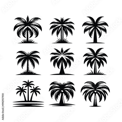 Artistic Black and White Palm Tree Collection