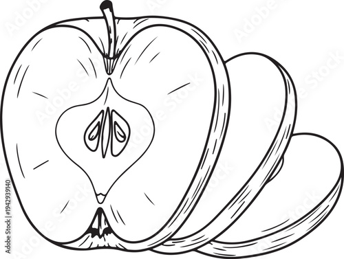 Sliced with Seeds and Stem Black and White Line Art Isolated on White Background