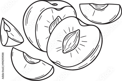 Whole and Sliced Peaches Hand Drawn Sketch Illustration