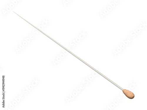 リアルな指揮棒のイラスト