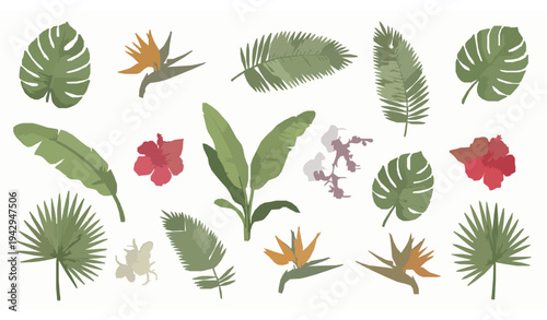 Tropical leaves and flowers vector pack with exotic jungle foliage and botanical floral elements