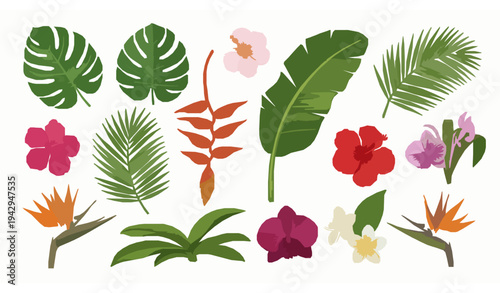 Exotic tropical leaves and flowers vector collection with monstera palm and hibiscus botanical elements