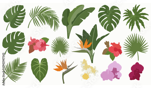 Tropical leaves and flowers vector set with monstera palm hibiscus and exotic botanical elements
