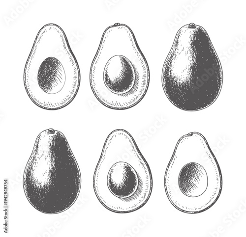 Black and white ink of whole and halved avocados fruit food
