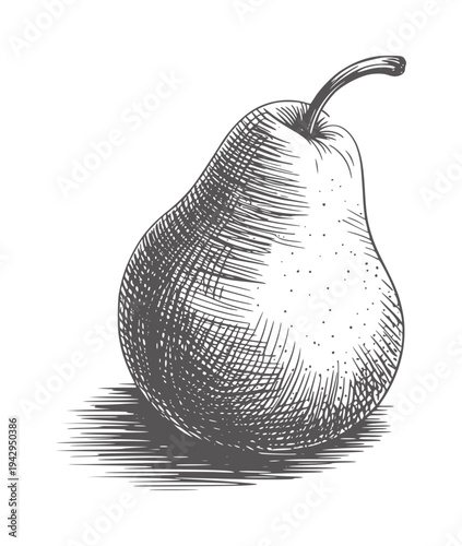 Black and white of a single pear with shadow fruit monochrome