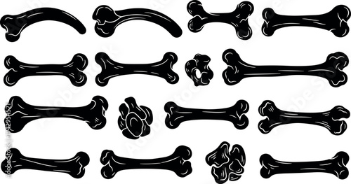 Vector illustration collection of various animal bone silhouettes and anatomical fragments isolated on white background for biology education archaeology research and spooky Halloween decorations.