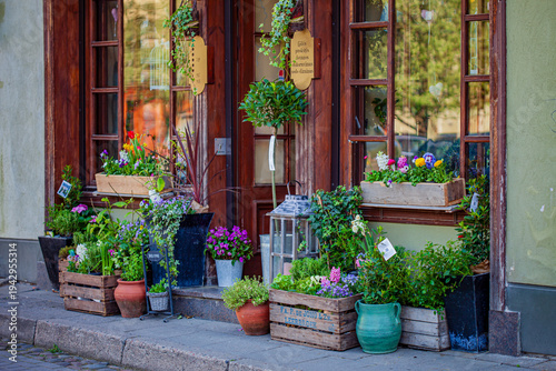 Fotografie Bright flowers and charming planters welcome visitors to a quaint shop on a sunn